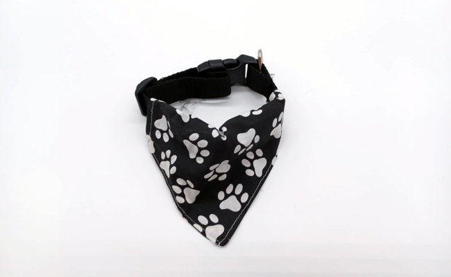 Halsbaender Hundehalsband Mit Wechselndem Halstuch