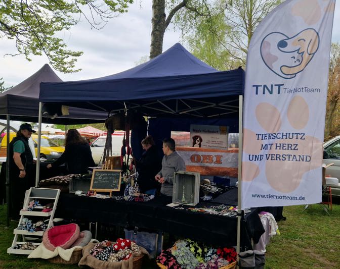 Campingmesse